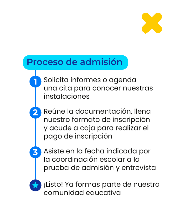 Proceso_PaginaWeb